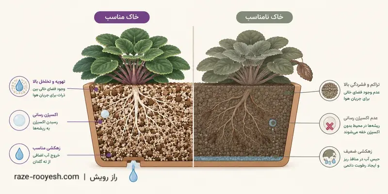 مقایسه‌ی مقطع خاک درشت‌دانه و خاک ریزدانه در گلدان بنفشه آفریقایی، با نمایش ریشه‌ی سالم در برابر ریشه‌ی در حال پوسیدگی به‌دلیل ماندن آب در خاک رسی