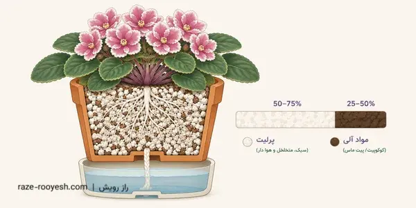 مقطع گلدان بنفشه آفریقایی با بستر پرلیت‌محور و نخ فتیله متصل به مخزن آب زیر گلدان